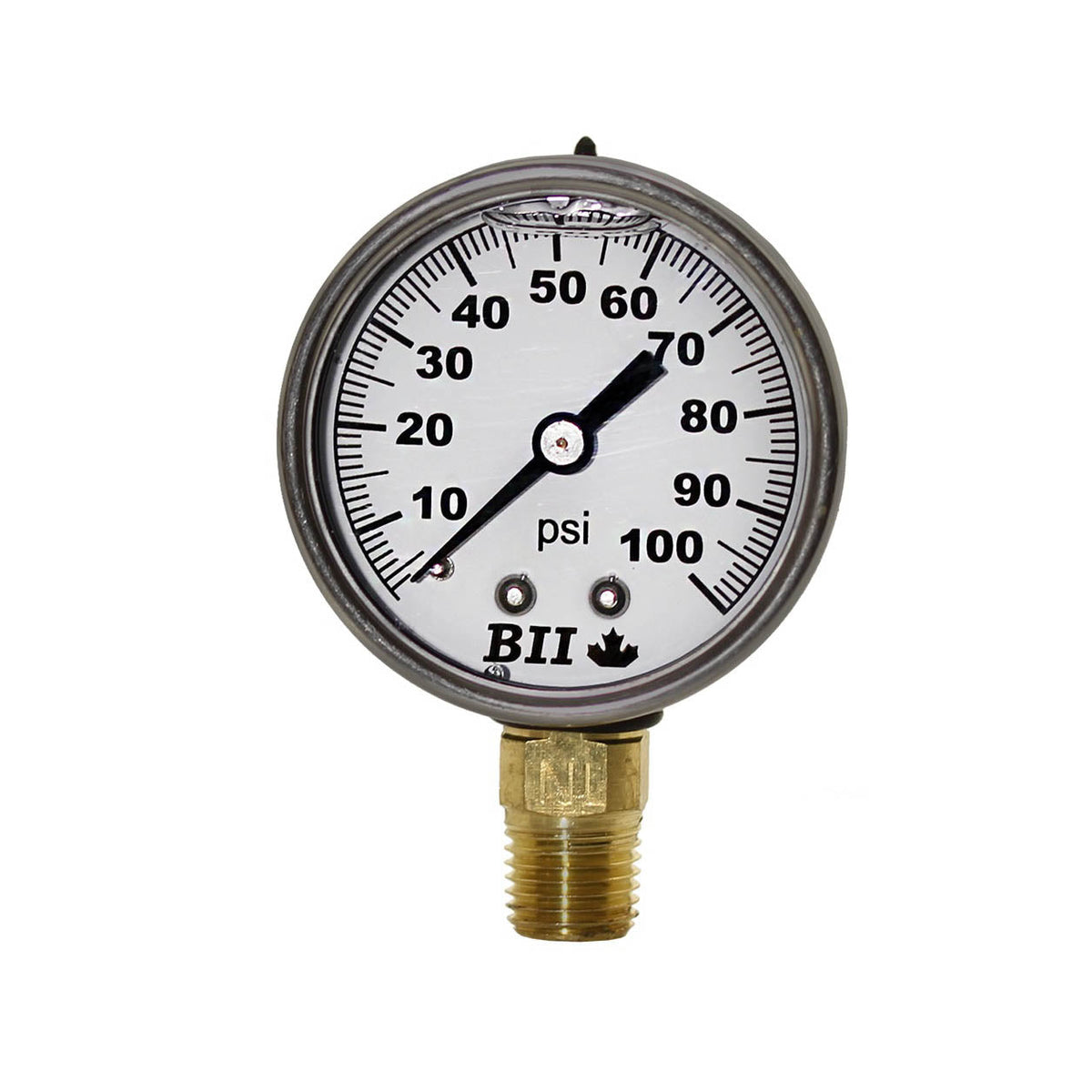 Boshart 2" Pressure Gauge Liquid 1/4x200 No Lead