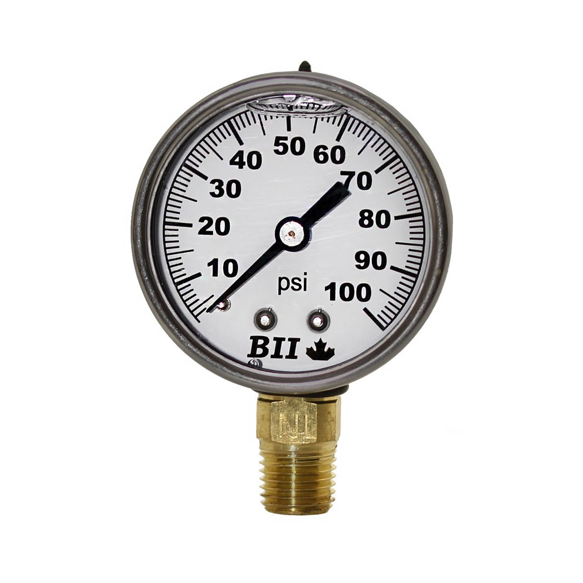 Boshart 2" Pressure Gauge Liquid 1/4x30 No Lead