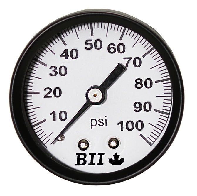Boshart Pressure Gauge Dry 1/8x100 Back Mt - No Lead