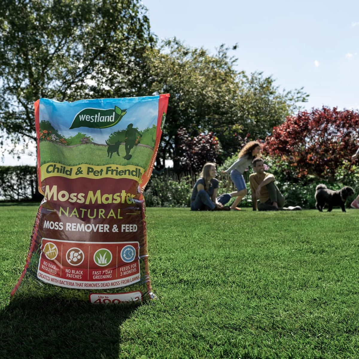 Westland Moss Master Lawn Feed & Moss Remover 400m² Natural Treatment