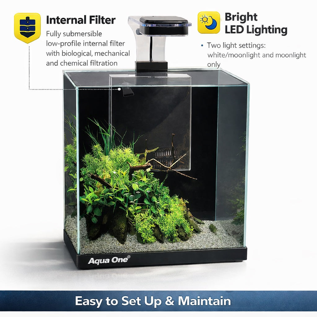 Aqua One Focus 23 Glass Aquarium 23L