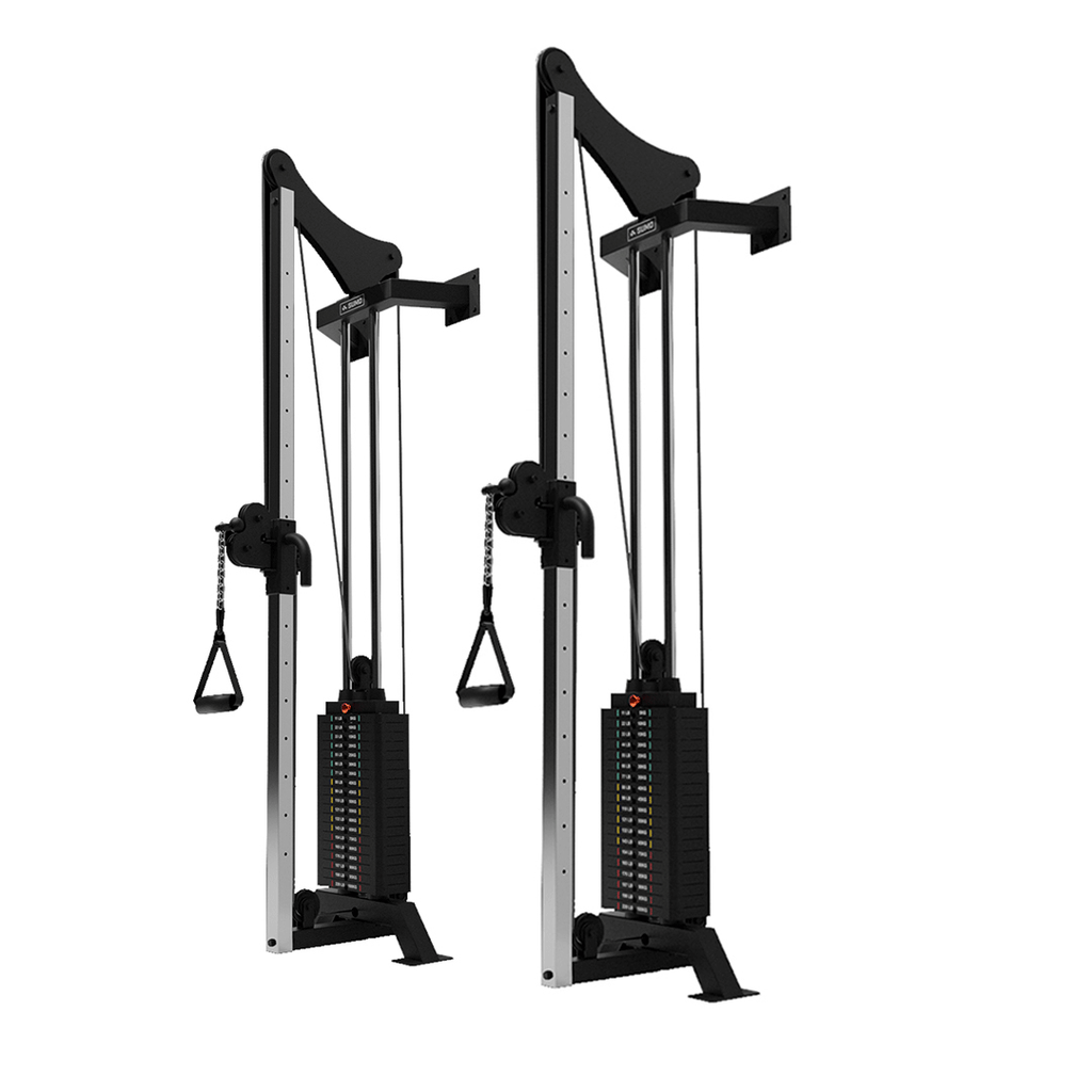 Dual Wall Mounted Cable Machine / Pulley Set (2 x 100kg)