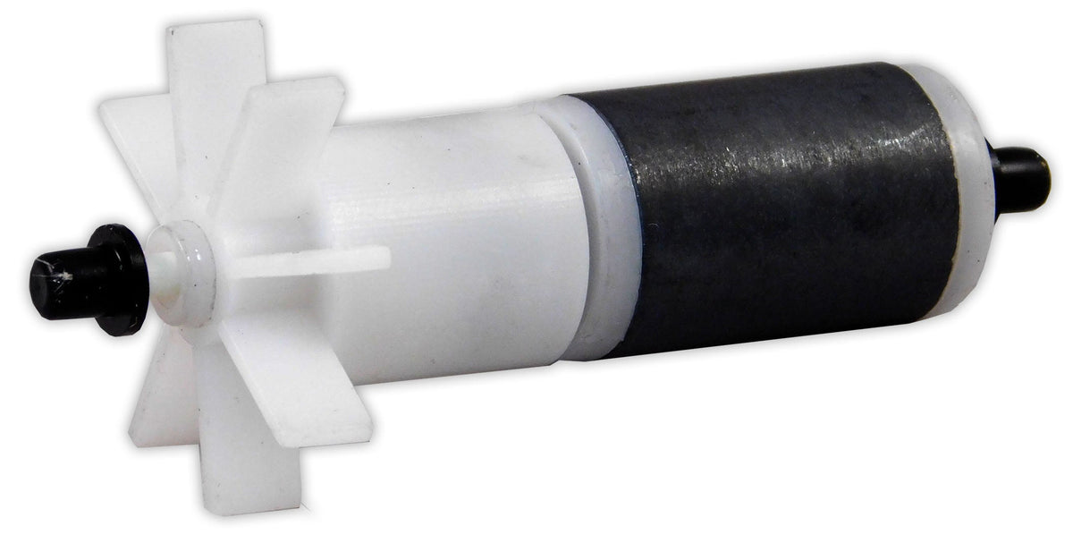 Laguna 2000 Pump Impeller Replacement