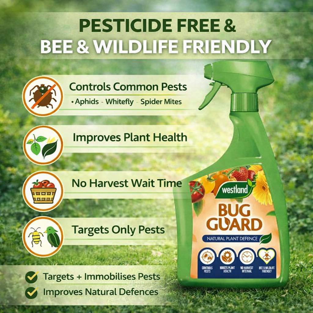 Westland Bug Guard Spray Organic Natural Pest Control For Plants 800ml