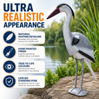 Aquacadabra Garden Heron Ornament - Lifelike Pond Decoration & Fish Protector