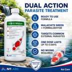 NT Labs Koi Care FMG Mixture | Dual-Action Malachite Green & Formaldehyde Pond Treatment