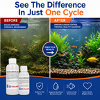 Dr Tims Fishless Cycle Ammonium Chloride Solution