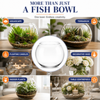 Glass Fish Bowls 23 & 30 - Versatile Decorative Pieces