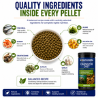 Aquacadabra Carnivor Reptile Food High Protein Complete Pellets 360g