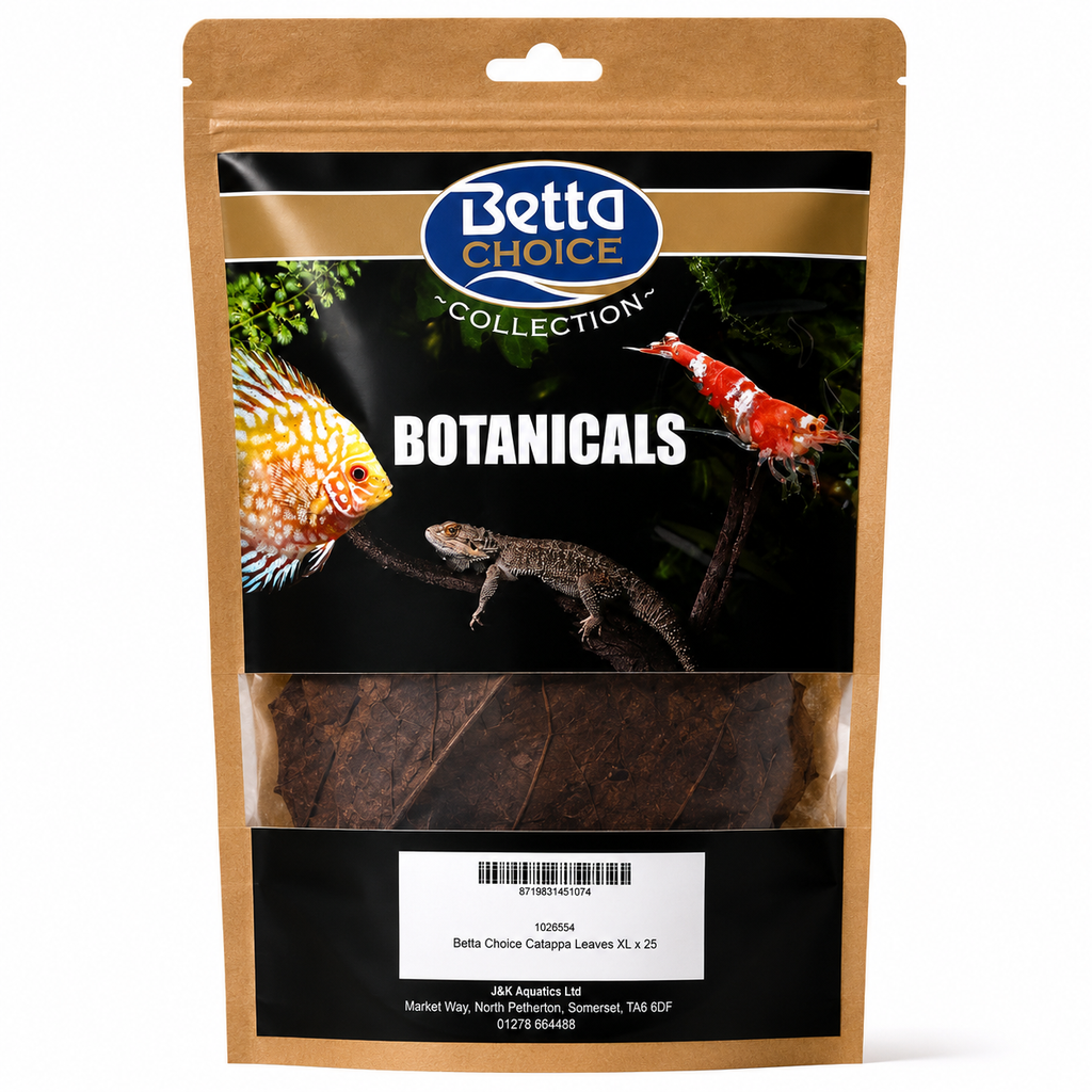 Nature4pets Mulberry Leaves for Shrimp – 10-15 Natural Dried Leaves