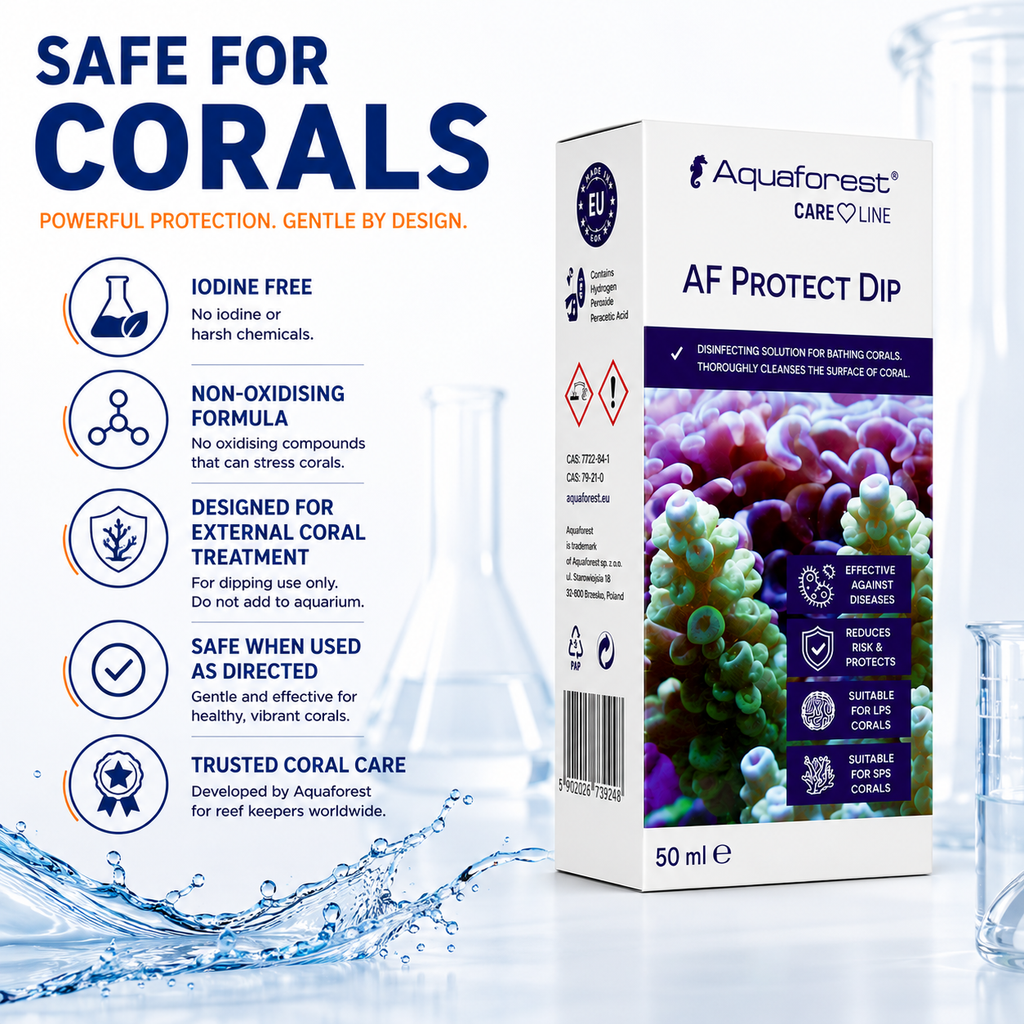Aquaforest Protect Dip Marine Aquarium Coral Pest & Disease Treatment 10ml 50ml