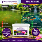 Aquaforest Phosphate Minus 1kg – Pond Phosphate Remover