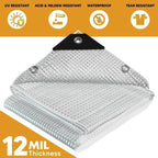 Clear Poly Tarp 6' x 8' Case of 20