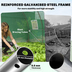 10' x 13' Walk-in Polytunnel Greenhouse with Hinged Door & 8 Mesh Windows