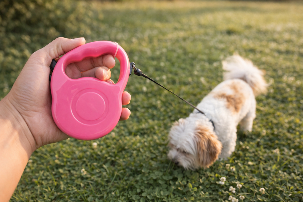 2x Retractable Dog Leash 5M Long | Heavy Duty | Small–Medium Dogs | Random Colour