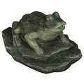 Bermuda Frog on Lilypad Water Spitter