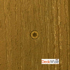 DeckWise Composite Deck Screws