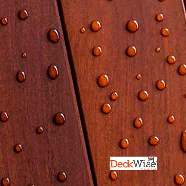 DeckWise WiseCoat Deck Sealer