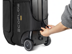 EcoFlow DELTA PRO Bag