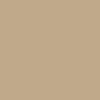 Standard Paint Options