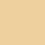 Standard Paint Options