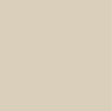Standard Paint Options