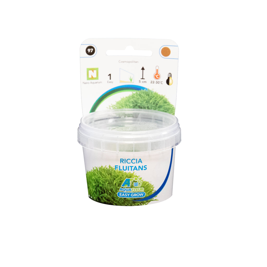 Aquafleur Easy Grow 97 Riccia Fluitans Aquarium Live Plant