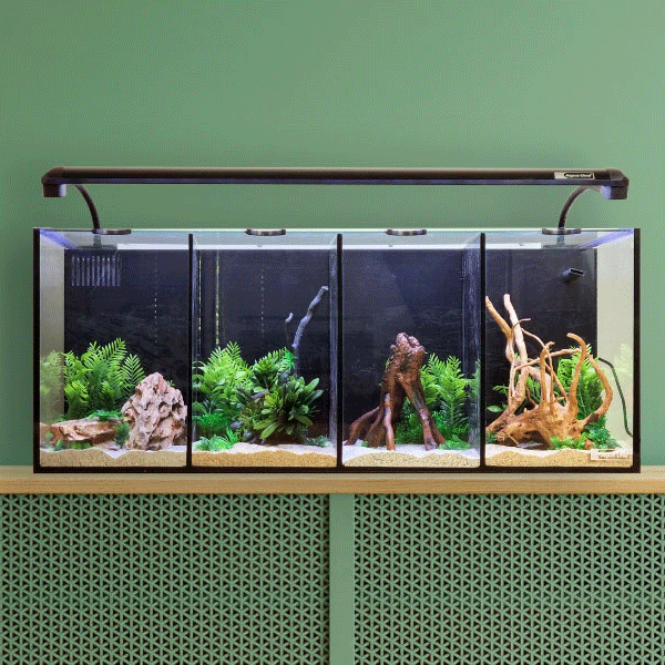 Aqua One Betta Quad 60L Glass Aquarium Tank