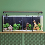 Aqua One Betta Quad 60L Glass Aquarium Tank