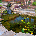 Bermuda Garden Outdoor Heavy Duty Durable PVC Pond Liners