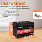 Dumfume 2 Pack 12.8V 300Ah LiFePO4 Batteries – 200A BMS