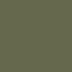 Standard Paint Options
