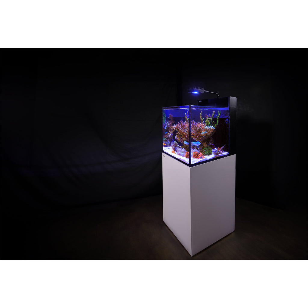 Red Sea MAX Nano XL G2 Aquarium – 125L Rimless Reef Tank