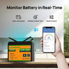 ECO-WORTHY 12V 100Ah LiFePO4 Battery With Bluetooth And Low-Temperature Protection