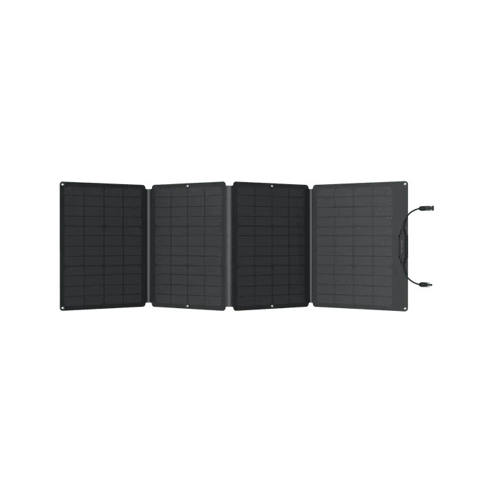 EcoFlow RIVER 2 + 110W Portable Solar Panel