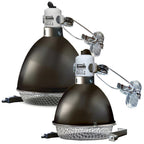 Arcadia Clamp Lamps with Graphite Holder