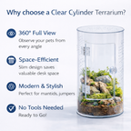 Reptile Repto Terra Clear Transparent Cylinder Acrylic Terrarium 360° View