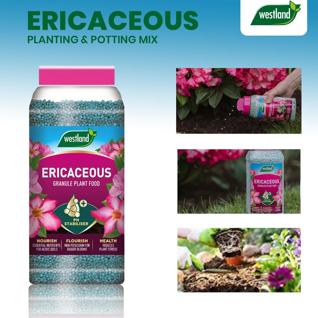 Westland Ericaceous Specialist Plant Food Slow Release Soil Granules Jar 900g