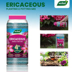 Westland Ericaceous Specialist Plant Food Slow Release Soil Granules Jar 900g