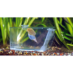 Aqua Medic Trap-Pest - Automatic Bristle Worm, Crab & Snail Trap - Reef Safe