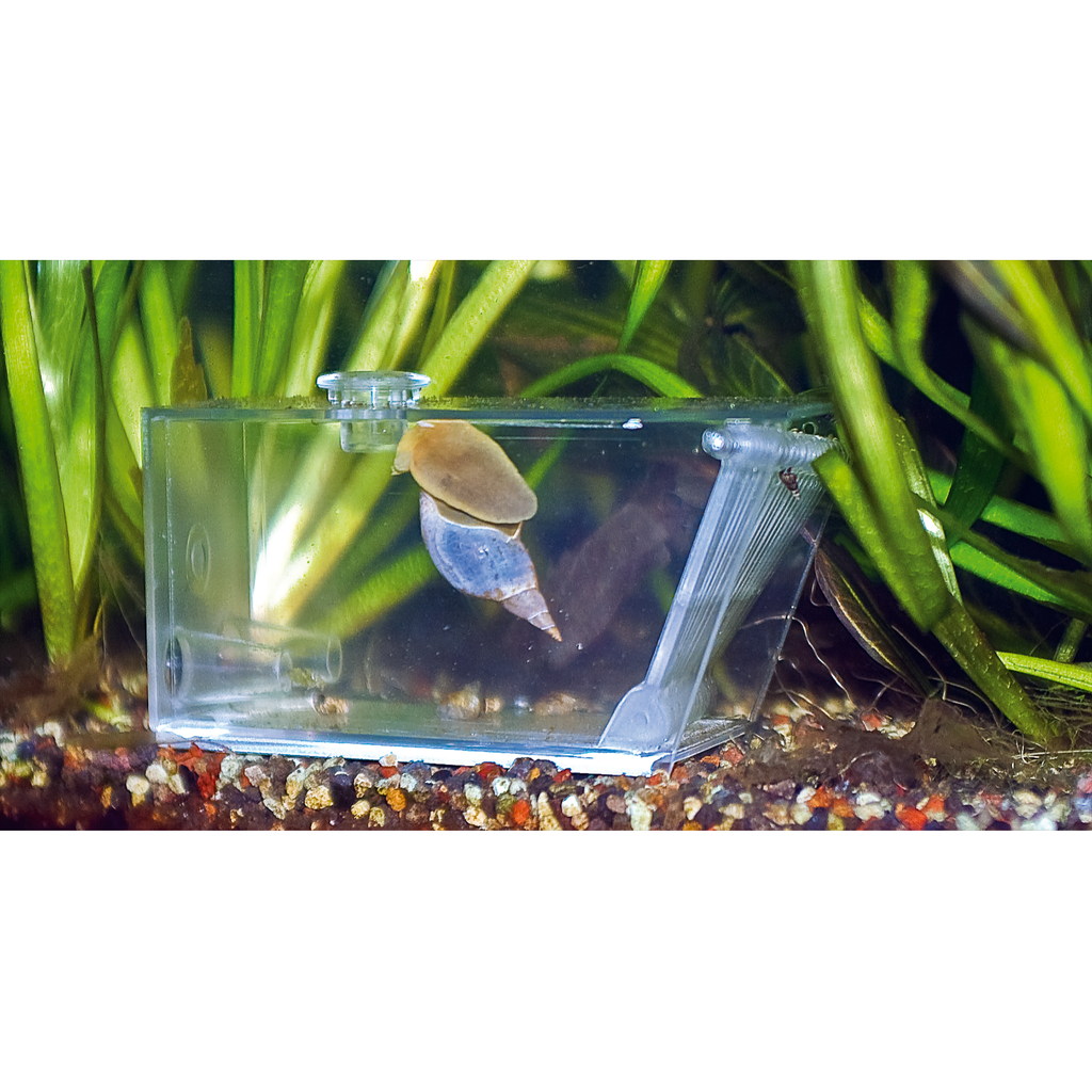 Aqua Medic Trap-Pest - Automatic Bristle Worm, Crab & Snail Trap - Reef Safe