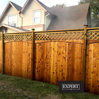 Expert Transparent Wood Stain