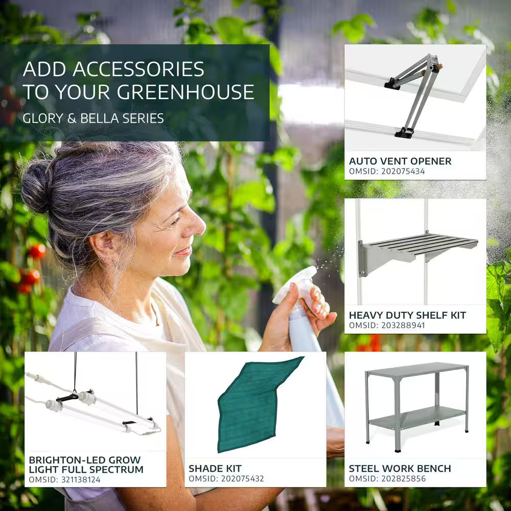 Bella 8 x 12 ft Silver Walk-In Greenhouse Kit with Diffused Polycarbonate Panels