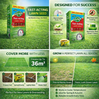 Westland Gro-Sure Fast Acting Lawn Seed 30m2 + 20% Extra Free Box