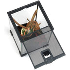 HabiStat Invertebrate Starter Kit for Mantis & Spiders