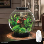 biOrb Black Classic 30 Acrylic 8-Gallon Aquarium