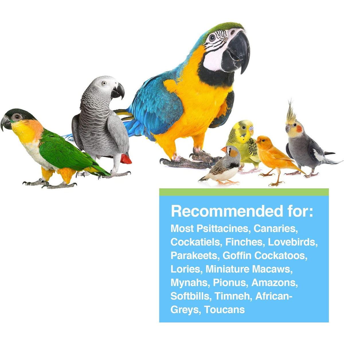 Hari Prime Bird Vitamin Supplement 30g
