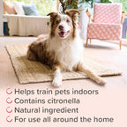 Beaphar Pet Behave Indoor Training Spray 125ml