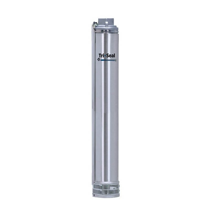 Franklin Electric 10 GPM 0.75 HP Peo 4" Legend Tri-Seal SS 10Ld07s4-Pe