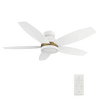 FREMONT - Replacement LED Board
